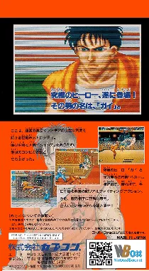 Final Fight Guy (USA) box cover back